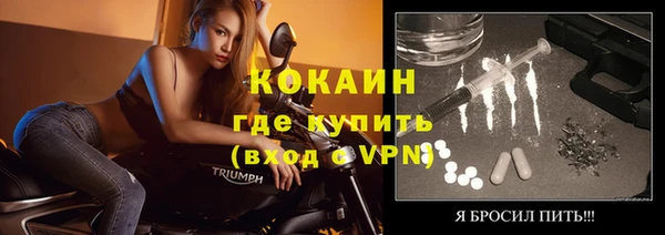 дживик Абинск