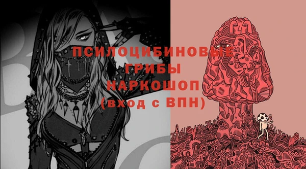дживик Абинск