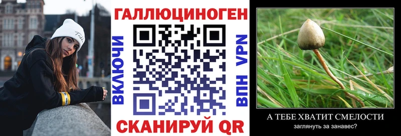 Галлюциногенные грибы Cubensis Уржум